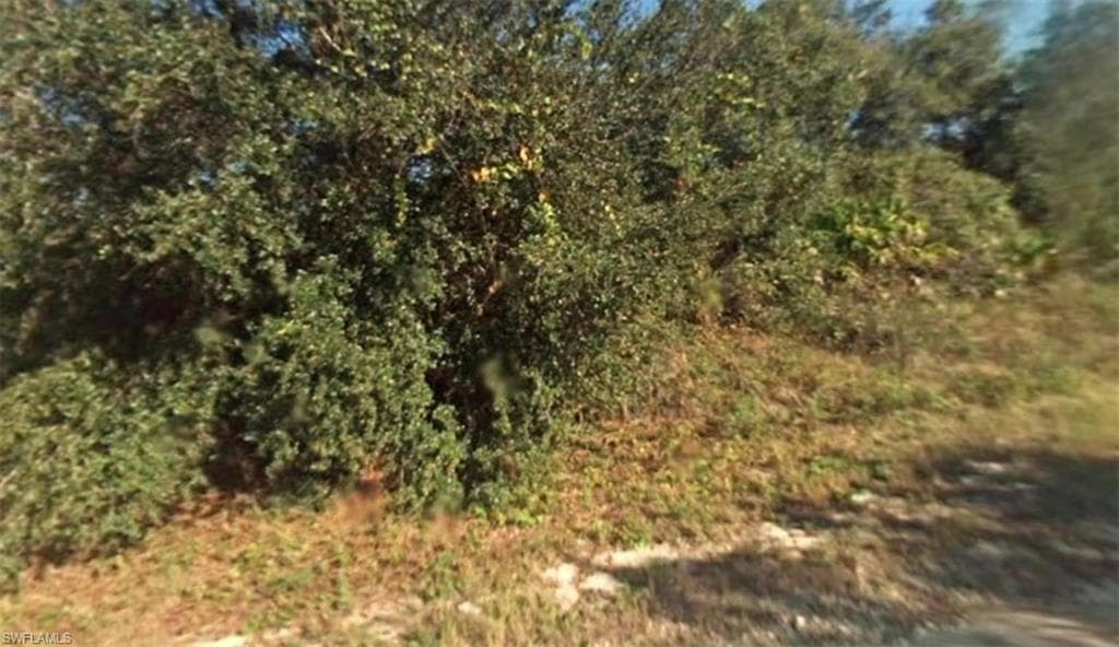 4249 E 26th ST ALVA, FL 33920