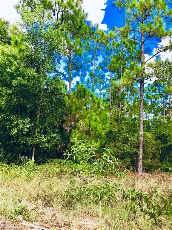 39th ST SW NAPLES, FL 34117