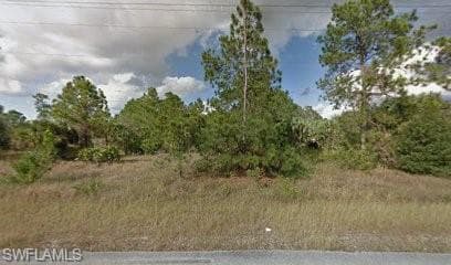4505 2nd ST LEHIGH ACRES, FL 33936