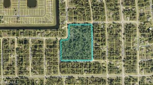 732 Palmer St E Palmer ST E LEHIGH ACRES, FL 33974