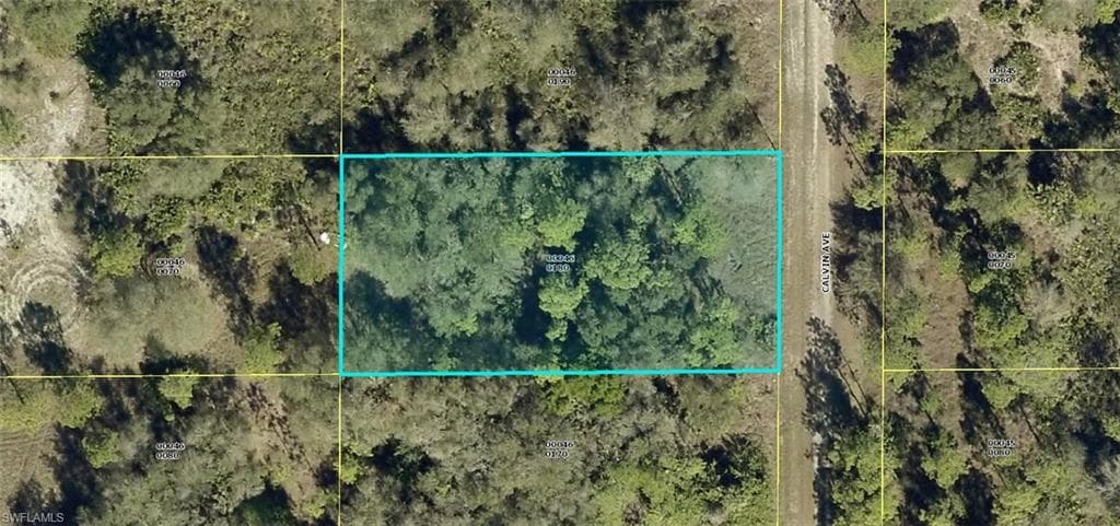 1511 Calvin AVE LEHIGH ACRES, FL 33972