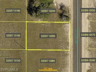 1002 NE 13th PL CAPE CORAL, FL 33909
