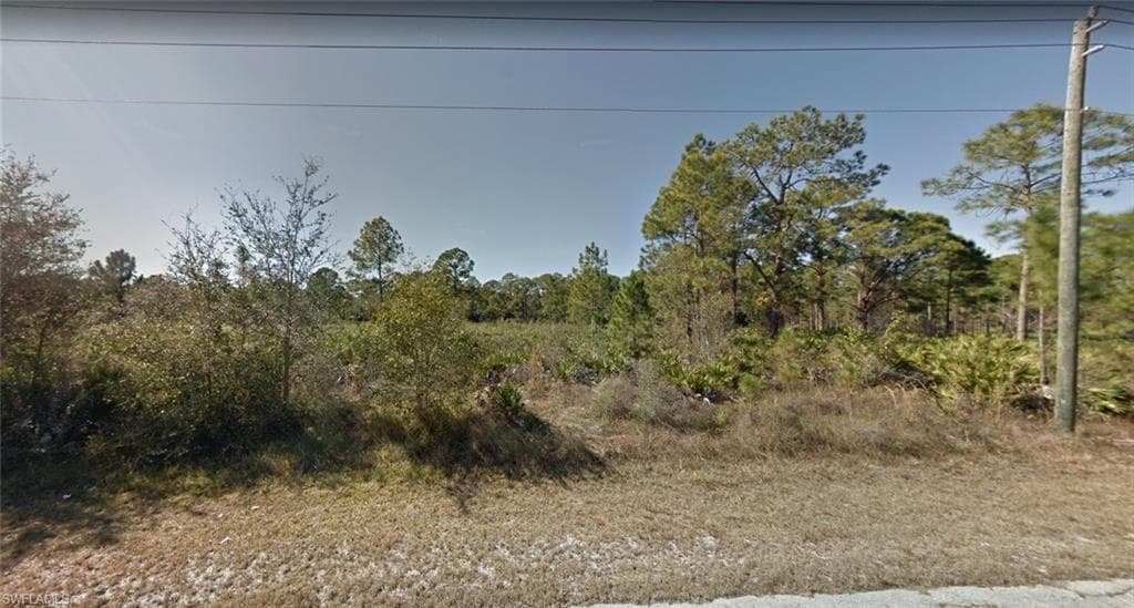 2103 Wellington AVE ALVA, FL 33920
