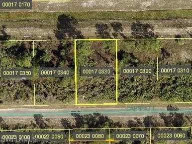 1139 Capri ST E LEHIGH ACRES, FL 33974