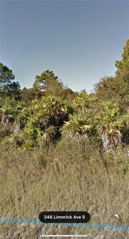 346 Limerick AVE S LEHIGH ACRES, FL 33974