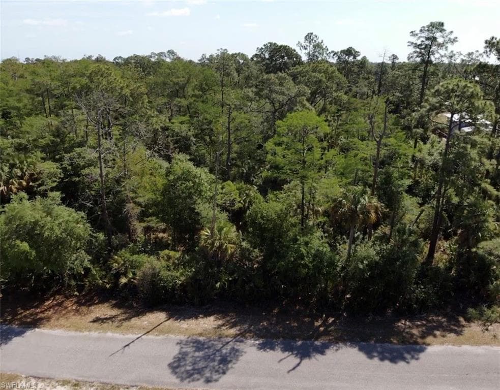 2302 & 2304 Leroy AVE ALVA, FL 33920