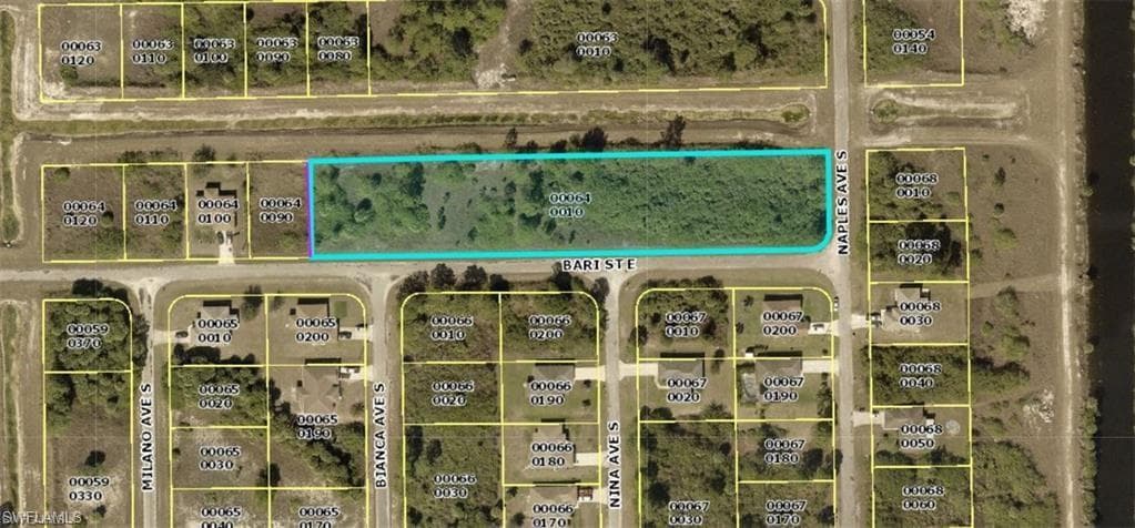 1251 Bari ST E LEHIGH ACRES, FL 33974