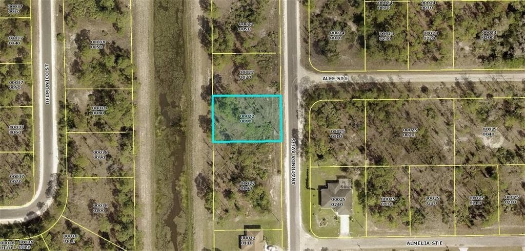 1016 Anaconda AVE S LEHIGH ACRES, FL 33974