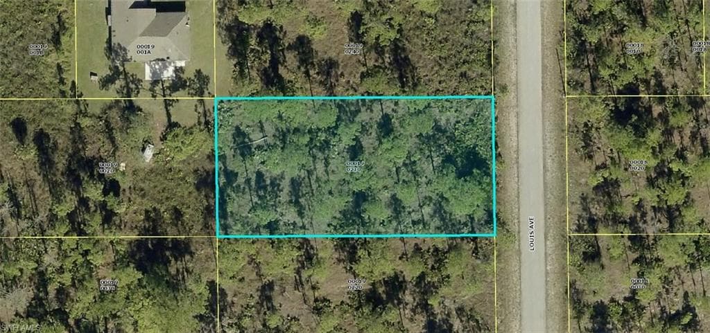 921 Louis AVE LEHIGH ACRES, FL 33972