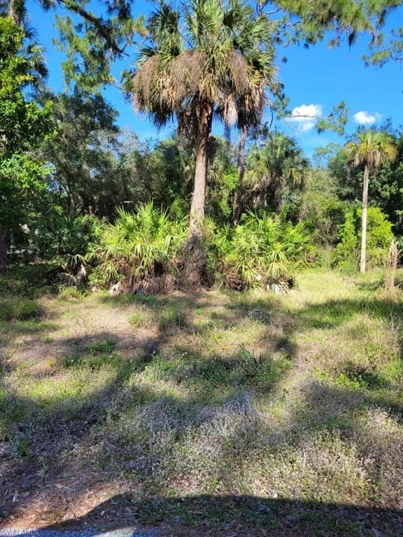 1111 Wood DR FORT DENAUD, FL 33935