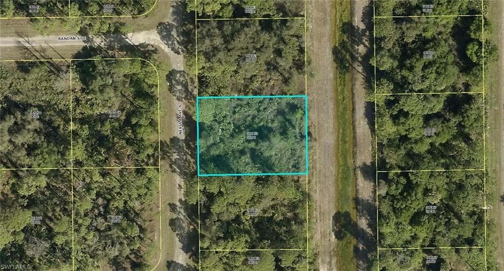 215 Nebula AVE S LEHIGH ACRES, FL 33974