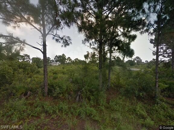 1251 Gennaio ST E LEHIGH ACRES, FL 33974
