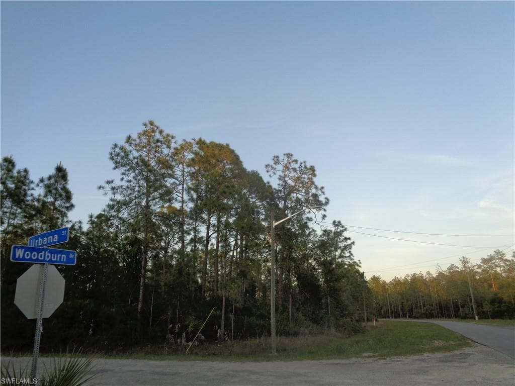 318 Woodburn DR LEHIGH ACRES, FL 33972