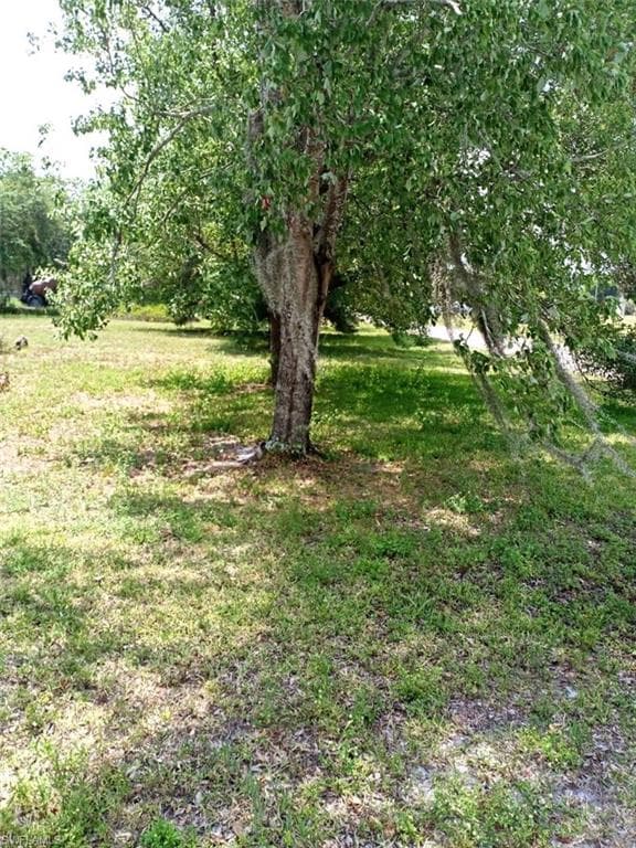 30175 Cedar RD PUNTA GORDA, FL 33982