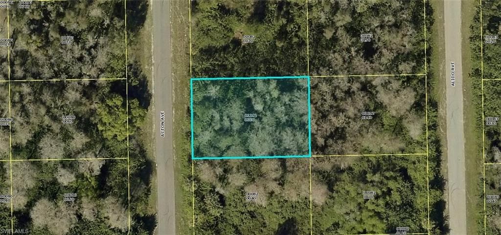 824 Acton AVE LEHIGH ACRES, FL 33971