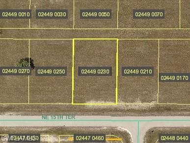 9 NE 15th TER CAPE CORAL, FL 33909
