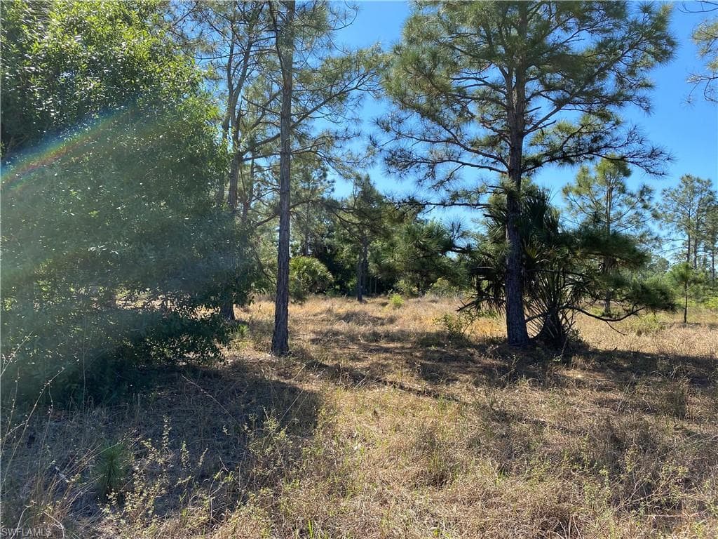 6203 Forest CT LABELLE, FL 33935