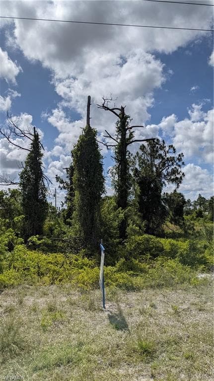 1147 Columbus BLVD S LEHIGH ACRES, FL 33974
