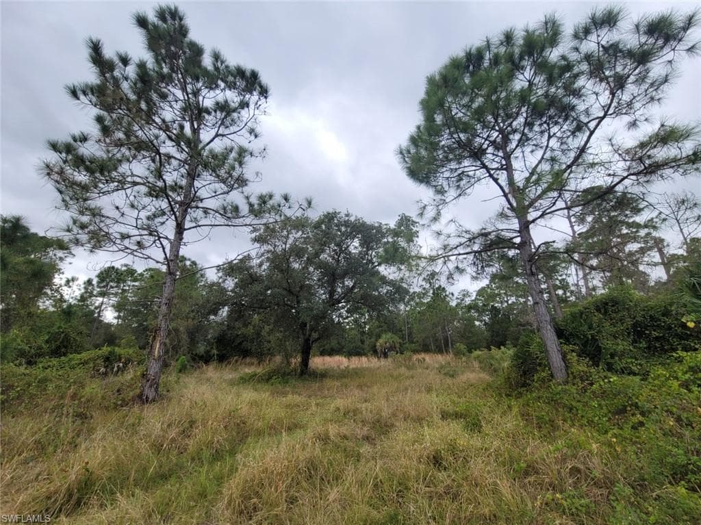 640 Live Oak ST CLEWISTON, FL 33440