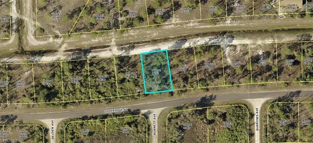 1035 Coleridge ST LEHIGH ACRES, FL 33974