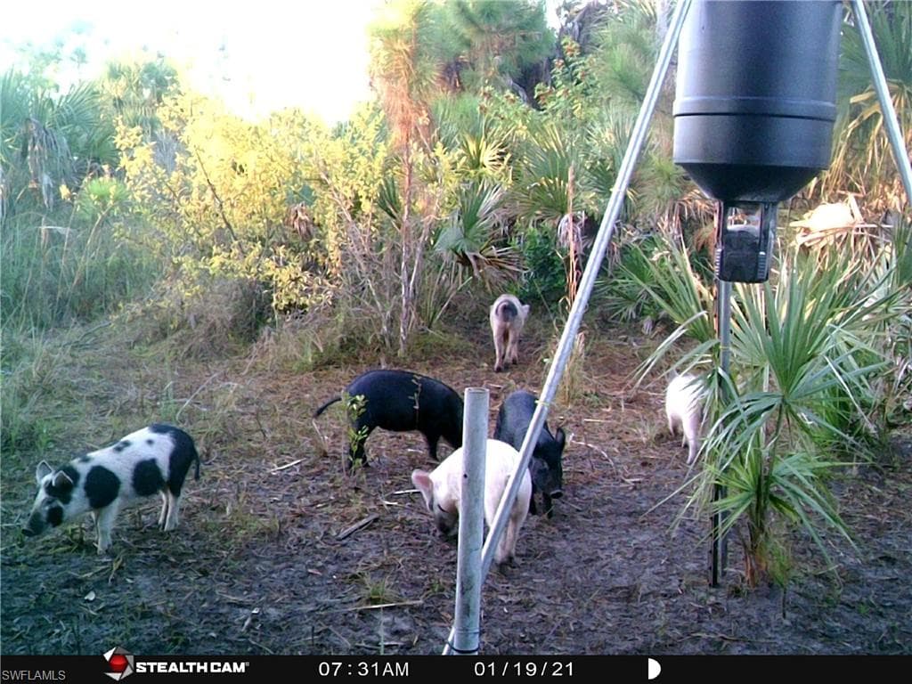 49791 Bermont RD PUNTA GORDA, FL 33982