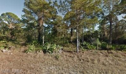 343 Mangonia AVE LEHIGH ACRES, FL 33974