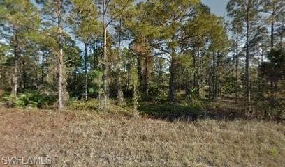 345 Mangonia AVE LEHIGH ACRES, FL 33974
