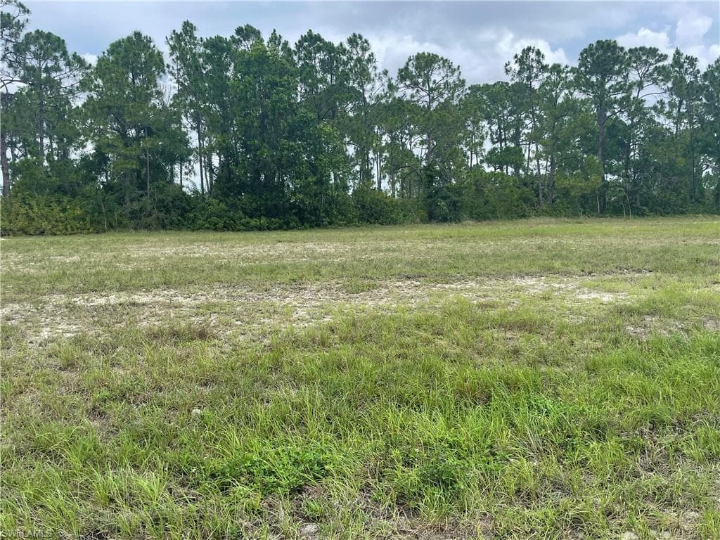 55 Wilmington PKY CAPE CORAL, FL 33993