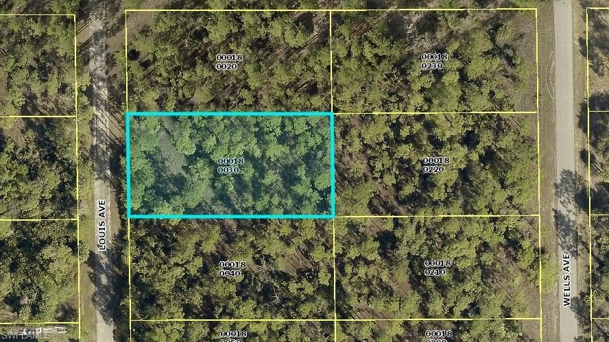 2118 Louis AVE ALVA, FL 33920