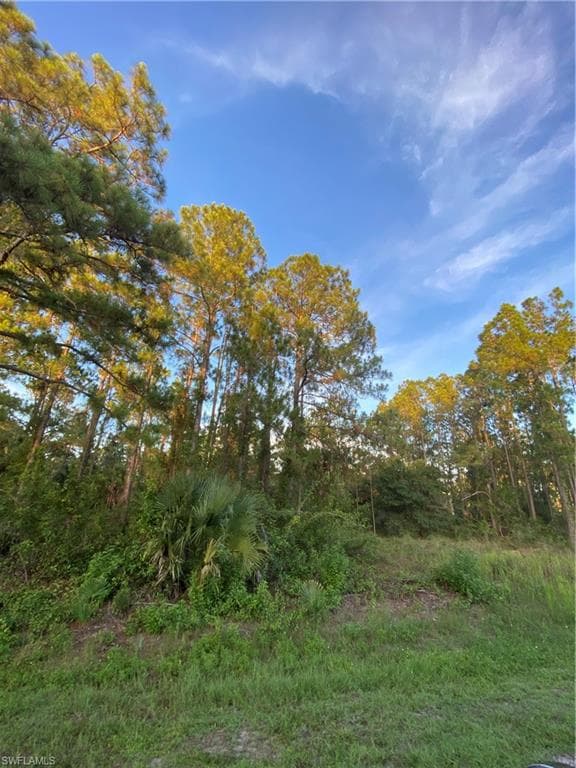 1114 Oak AVE LEHIGH ACRES, FL 33972
