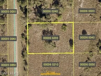 1013 Portland AVE S LEHIGH ACRES, FL 33974