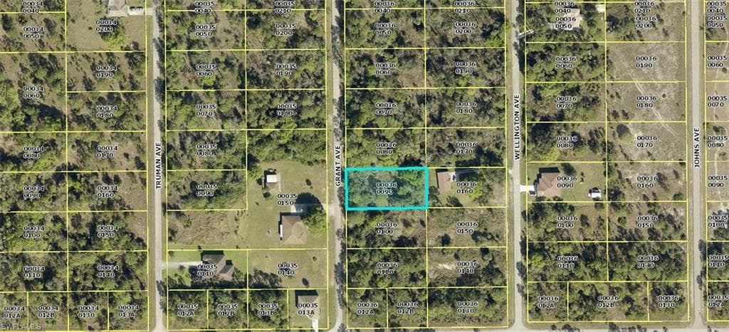 1406 Grant AVE LEHIGH ACRES, FL 33972