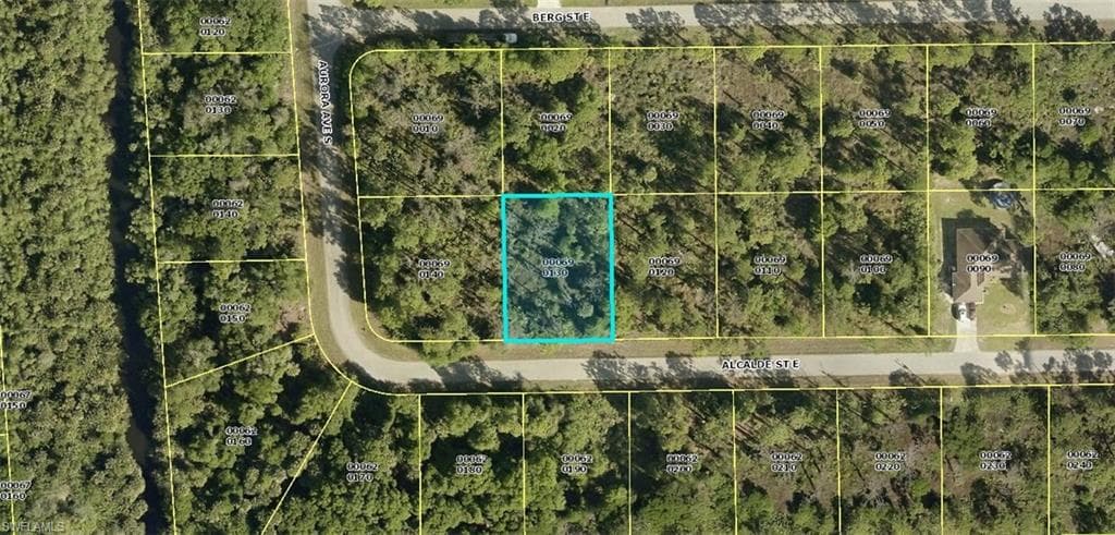 919 Alcalde ST E LEHIGH ACRES, FL 33974