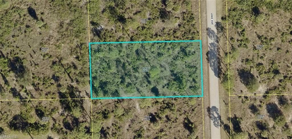 919 Lake AVE LEHIGH ACRES, FL 33972
