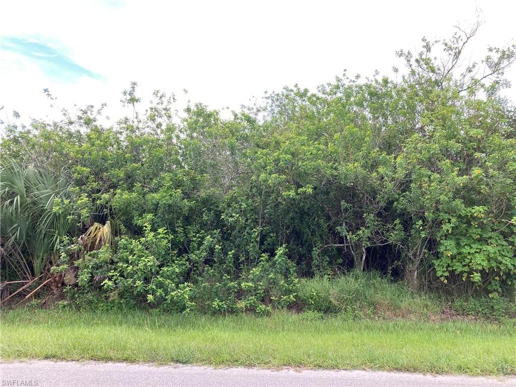 157 Bald Cypress AVE CLEWISTON, FL 33440