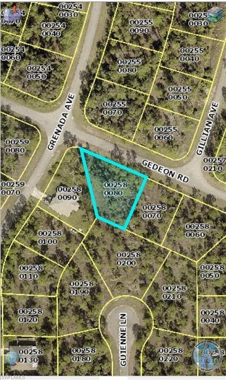 828 Gedeon RD LEHIGH ACRES, FL 33974