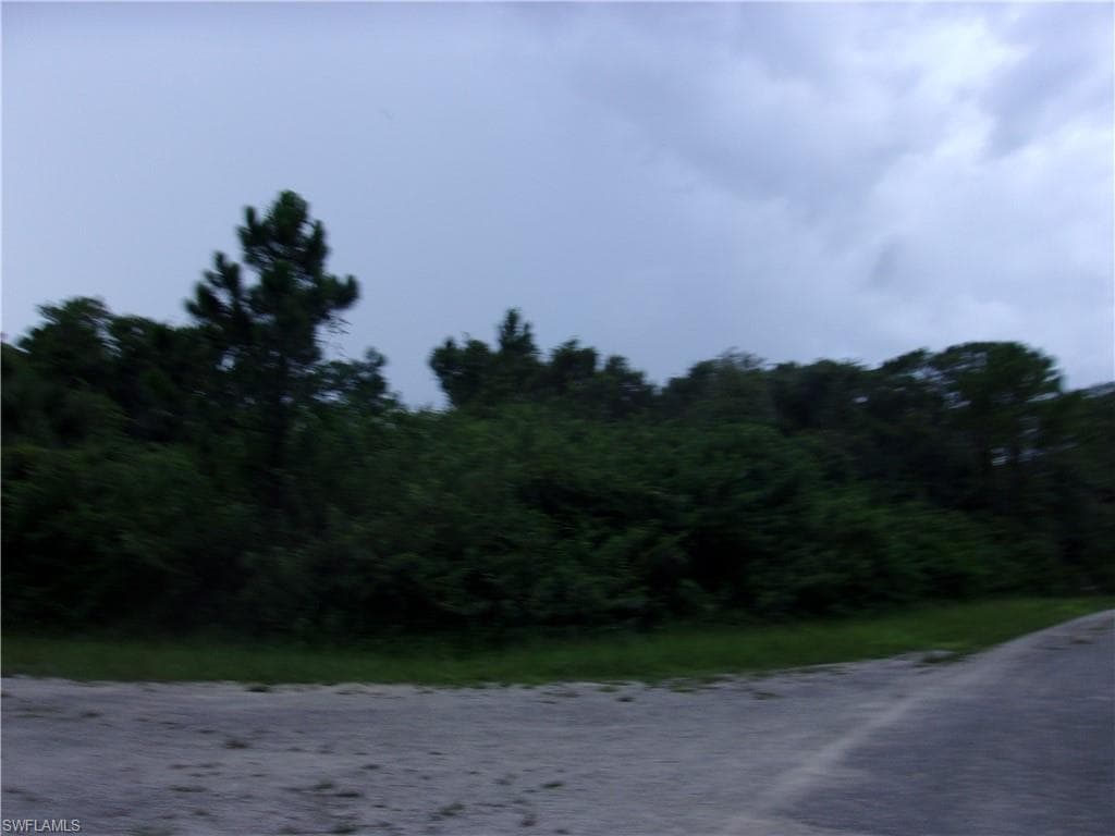 1934 Roderick LN LEHIGH ACRES, FL 33972