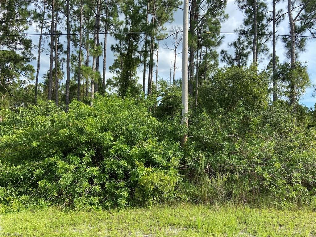 508 Raintree ST E LEHIGH ACRES, FL 33974