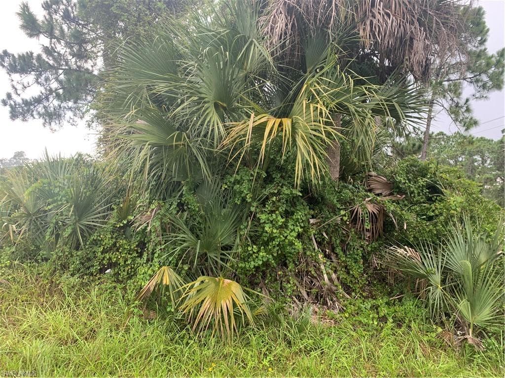 806 E 10th ST LEHIGH ACRES, FL 33972