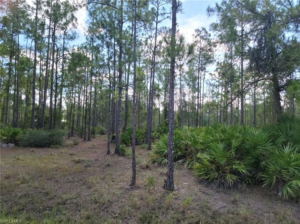 2204 Canton AVE ALVA, FL 33920