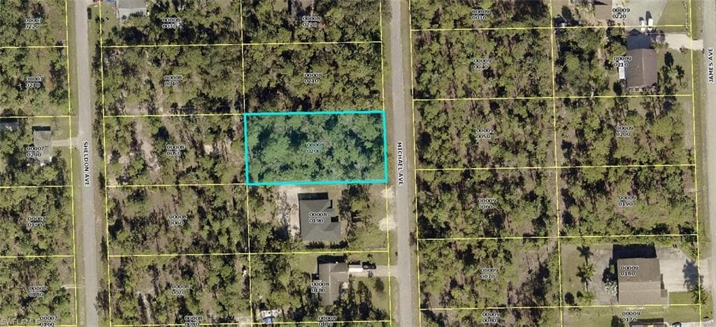 817 Michael AVE LEHIGH ACRES, FL 33936