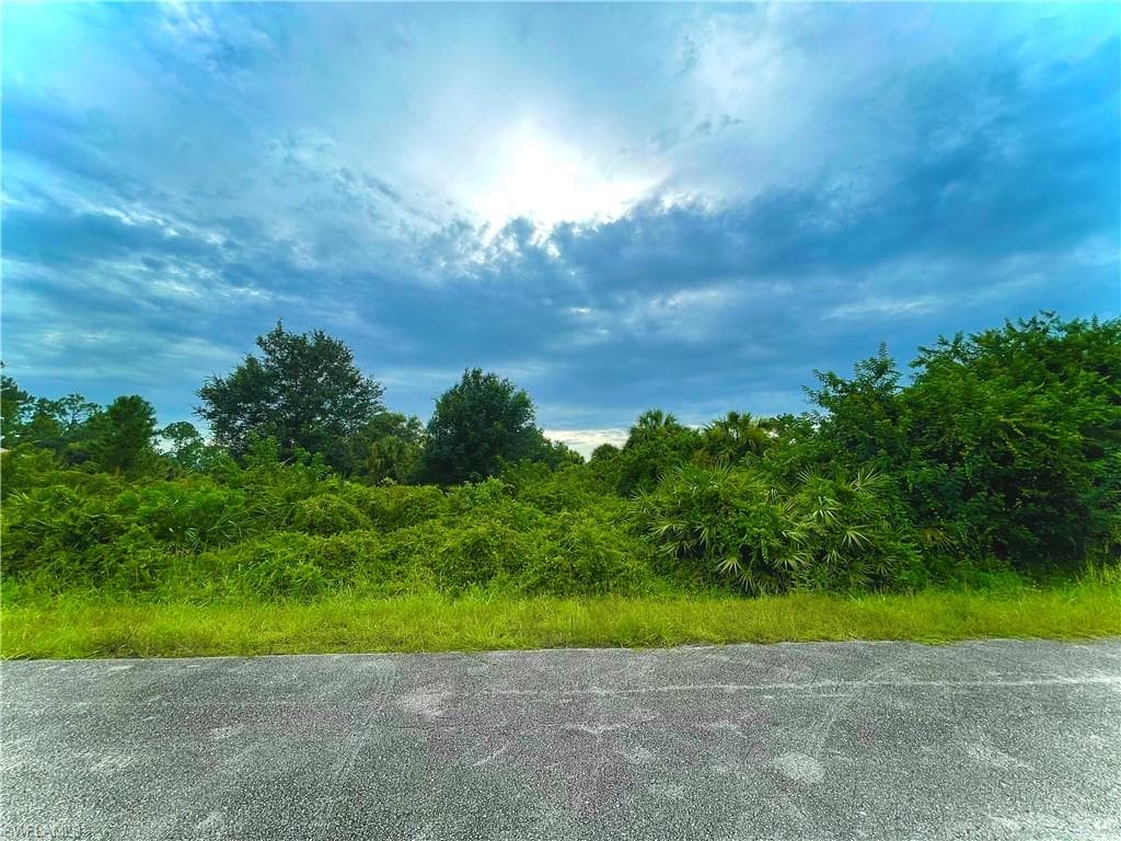 1119 Michael AVE LEHIGH ACRES, FL 33936