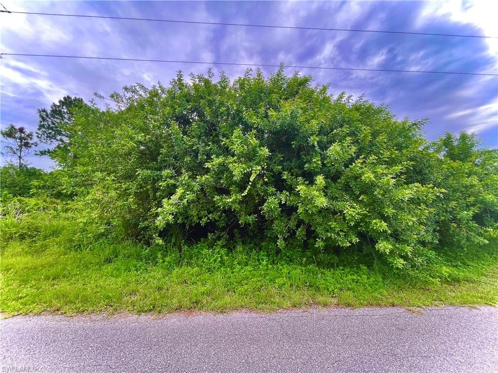 912 Kanuga ST E LEHIGH ACRES, FL 33974