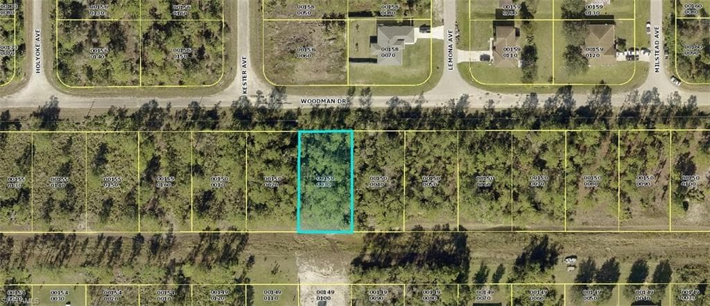 463 Woodman DR LEHIGH ACRES, FL 33972