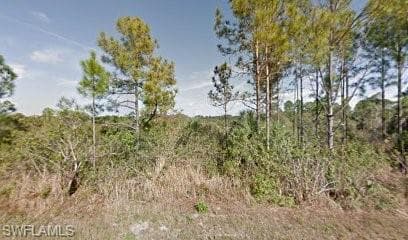 2804 24th ST W LEHIGH ACRES, FL 33971
