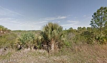 2806 24th ST W LEHIGH ACRES, FL 33971