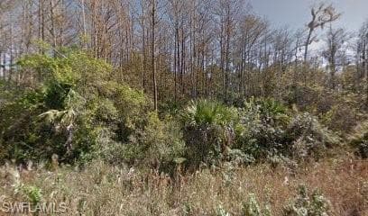 1914 Montero AVE LEHIGH ACRES, FL 33972