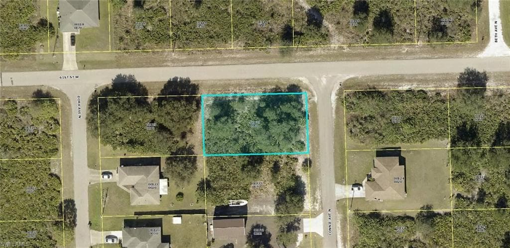 6013 Connie AVE N LEHIGH ACRES, FL 33971