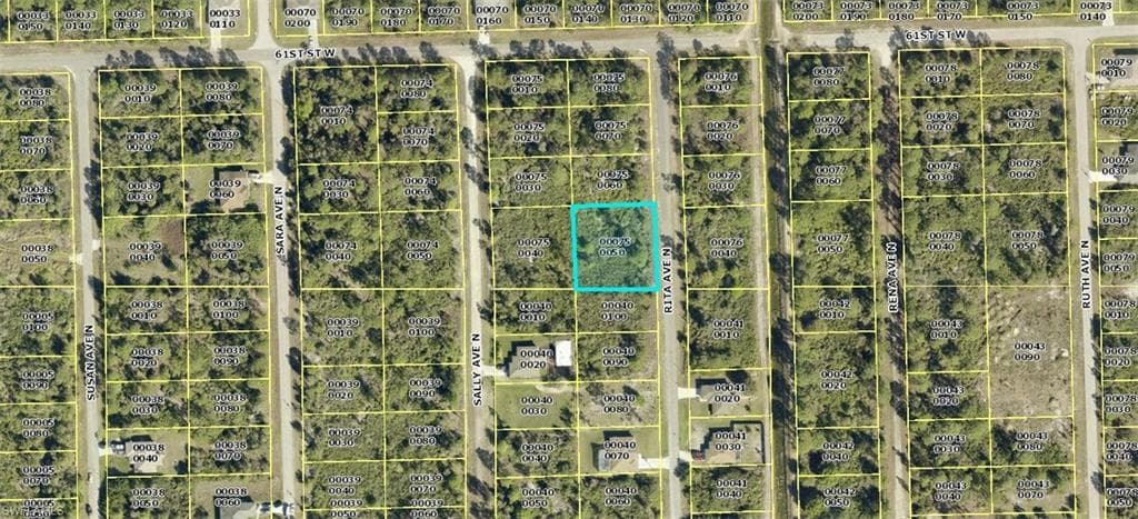 6011 Rita AVE N LEHIGH ACRES, FL 33971