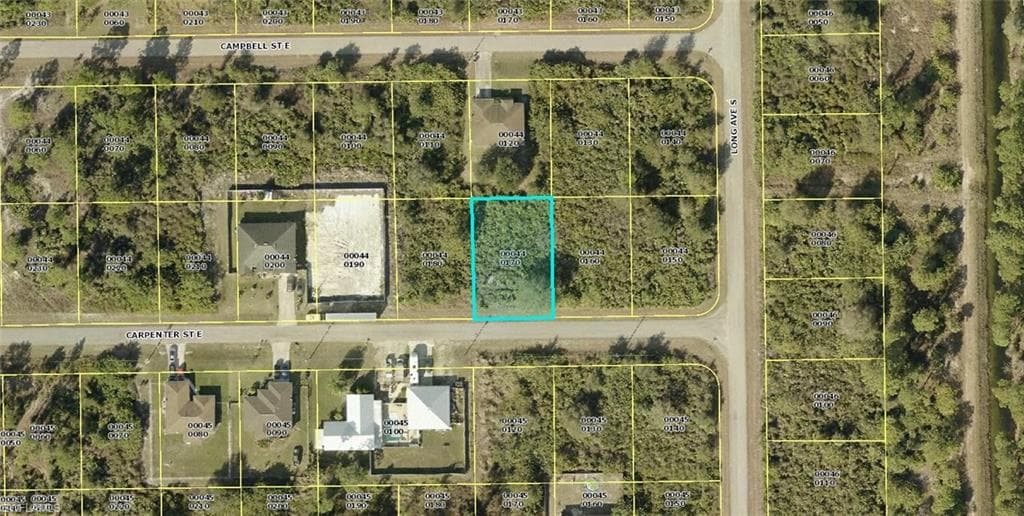 869 Carpenter ST E LEHIGH ACRES, FL 33974